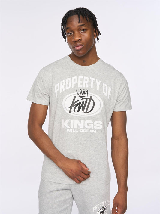 Prop T-Shirt Grey Marl